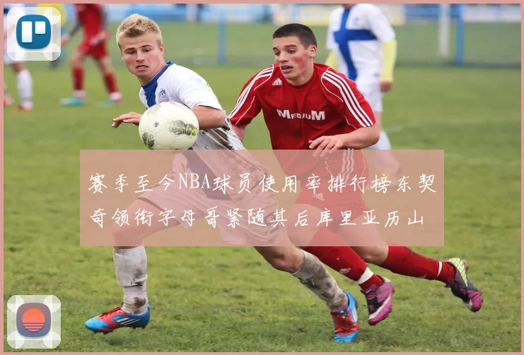 赛季至今NBA球员使用率排行榜东契奇领衔字母哥紧随其后库里亚历山大表现抢眼