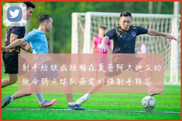 射手短缺成杨瀚森夏普阿夫迪亚的致命弱点球队亟需补强射手阵容