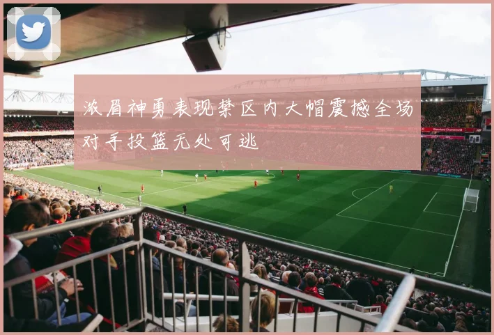 浓眉神勇表现禁区内大帽震撼全场对手投篮无处可逃