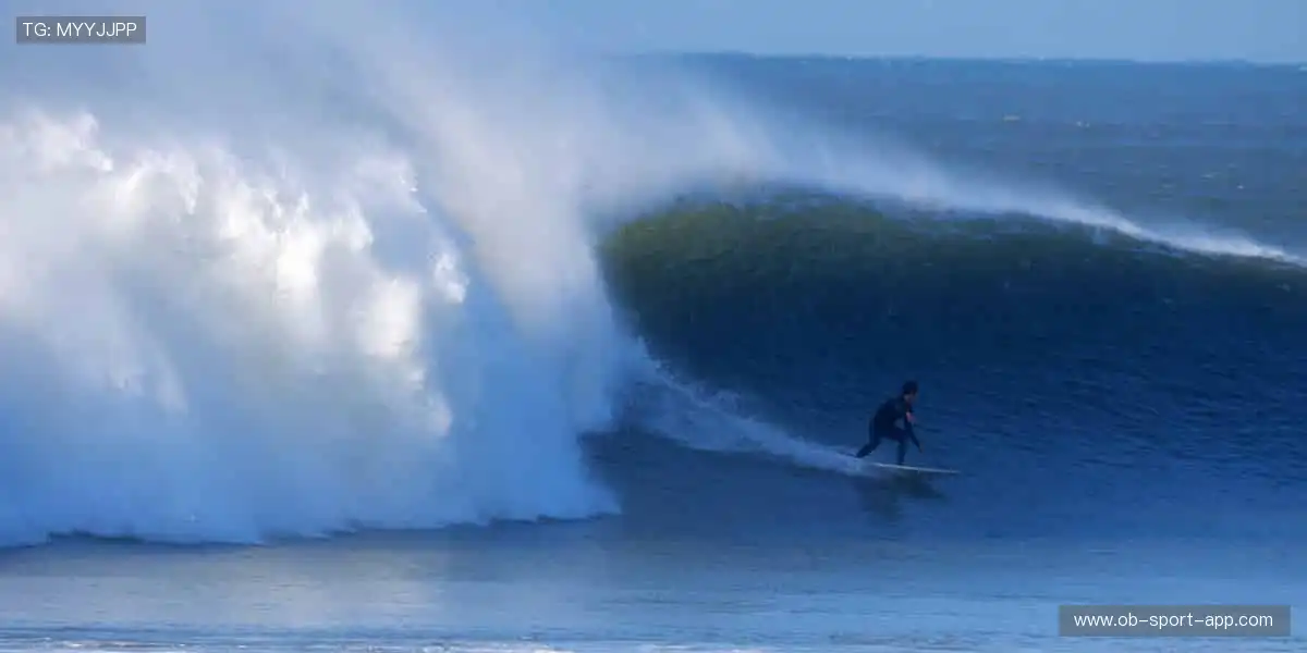 🚀 点击即达，开启你的体育梦想之旅！✨